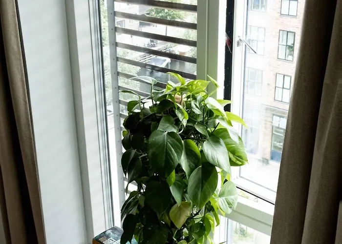 3 Floor In 160 M2-3 Bedrooms * København