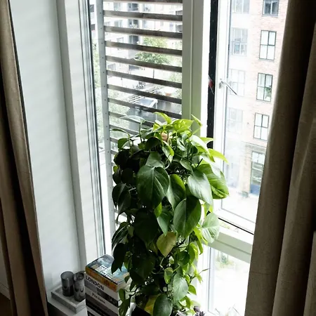 3 Floor In 160 M2-3 Bedrooms * Koppenhága
